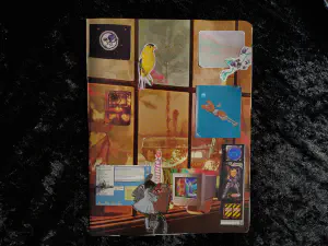 a collage depicting a bedroom with large windows where a girl brings home groceries